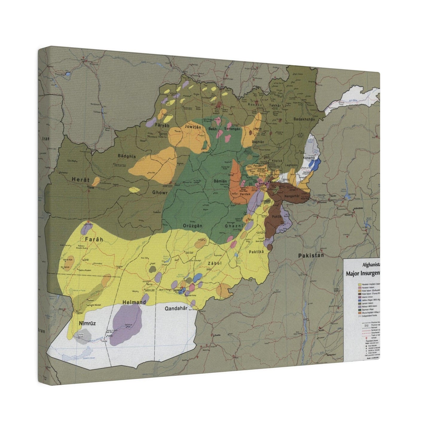 Close-up of textured canvas surface highlighting the detailed paint strokes and subtle color variations on the Afghanistan