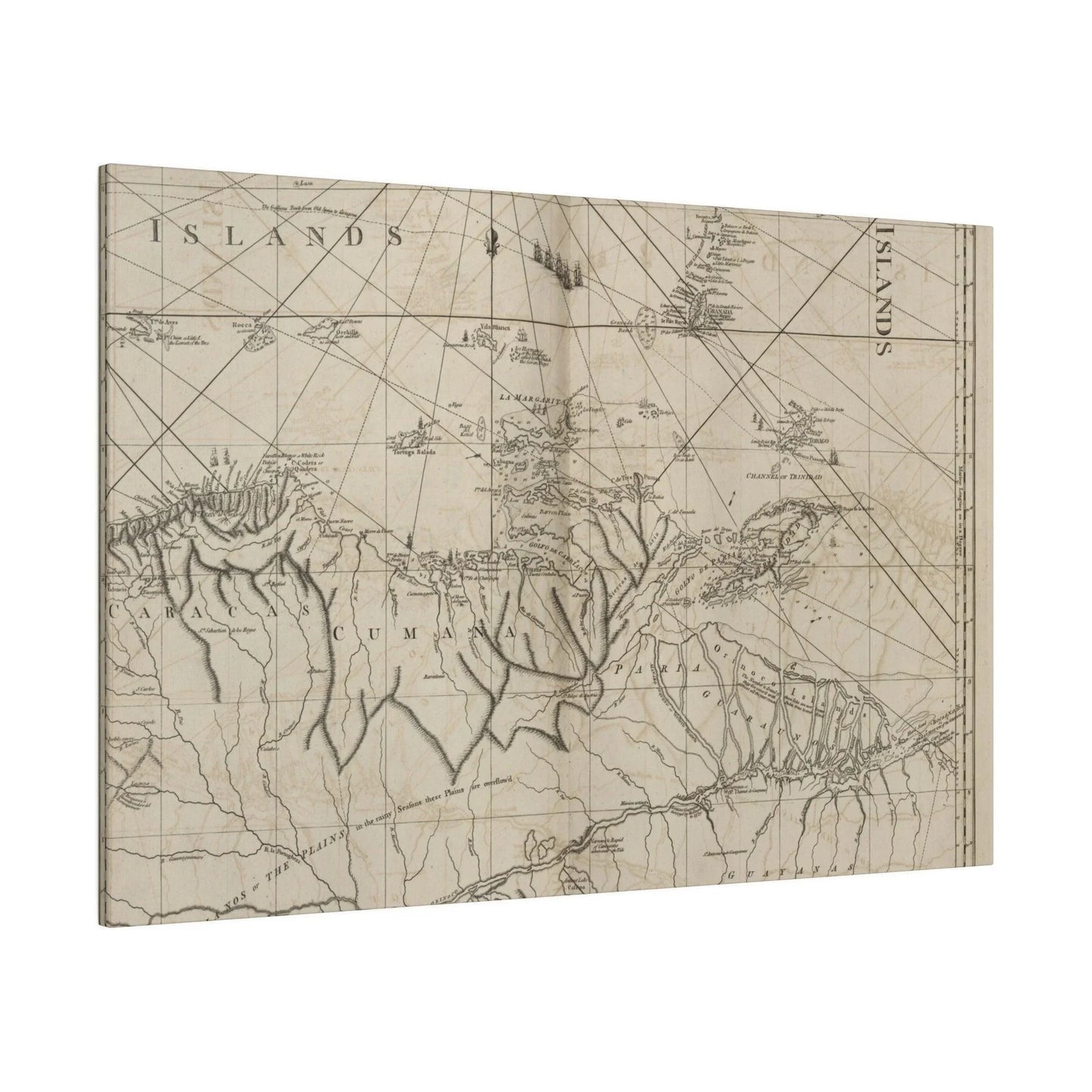 Close-up of vibrant coastal scenery highlighting rugged cliffs and swirling waters at the mouths of Rio Orinoco from a