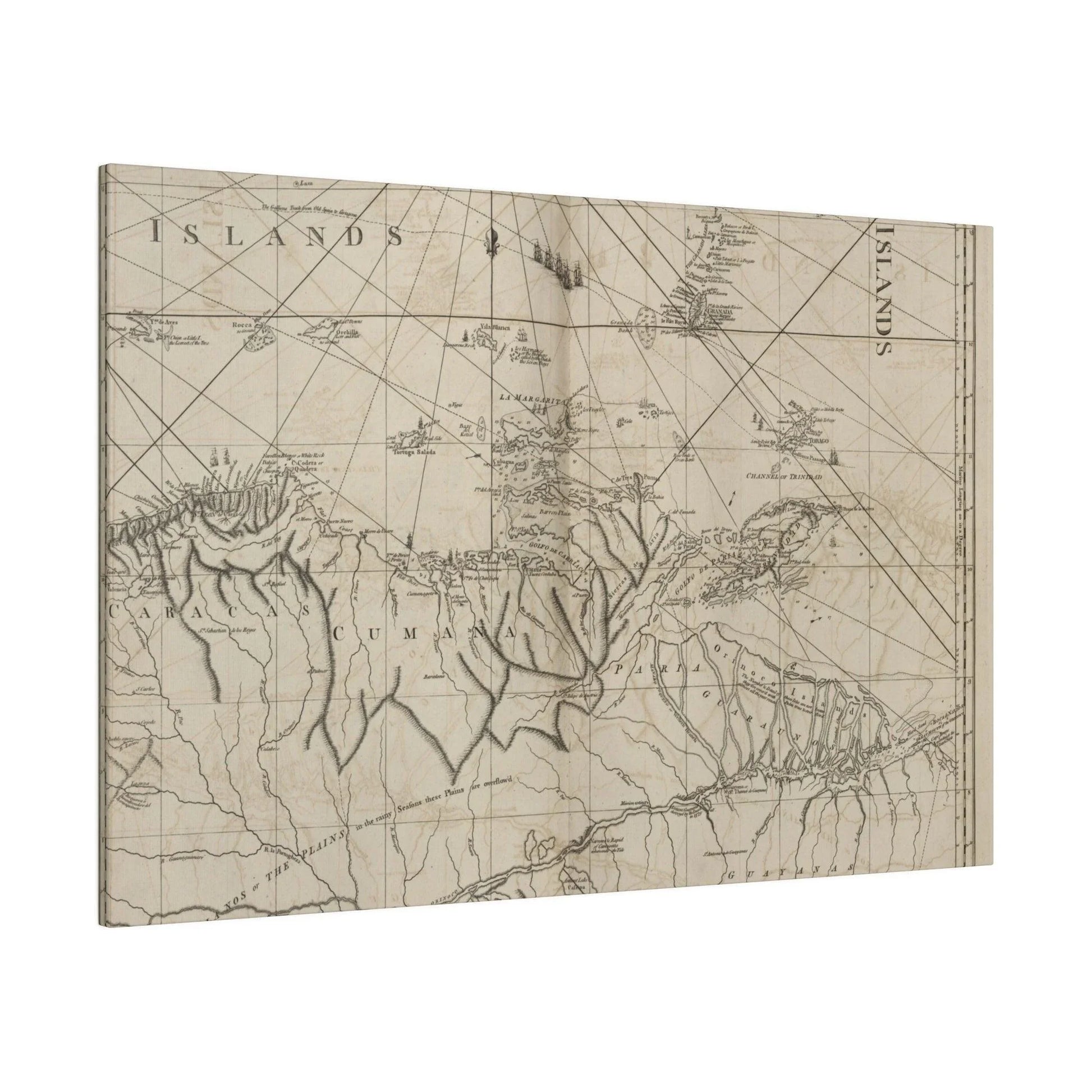 Close-up of vibrant coastal scenery highlighting rugged cliffs and swirling waters at the mouths of Rio Orinoco from a