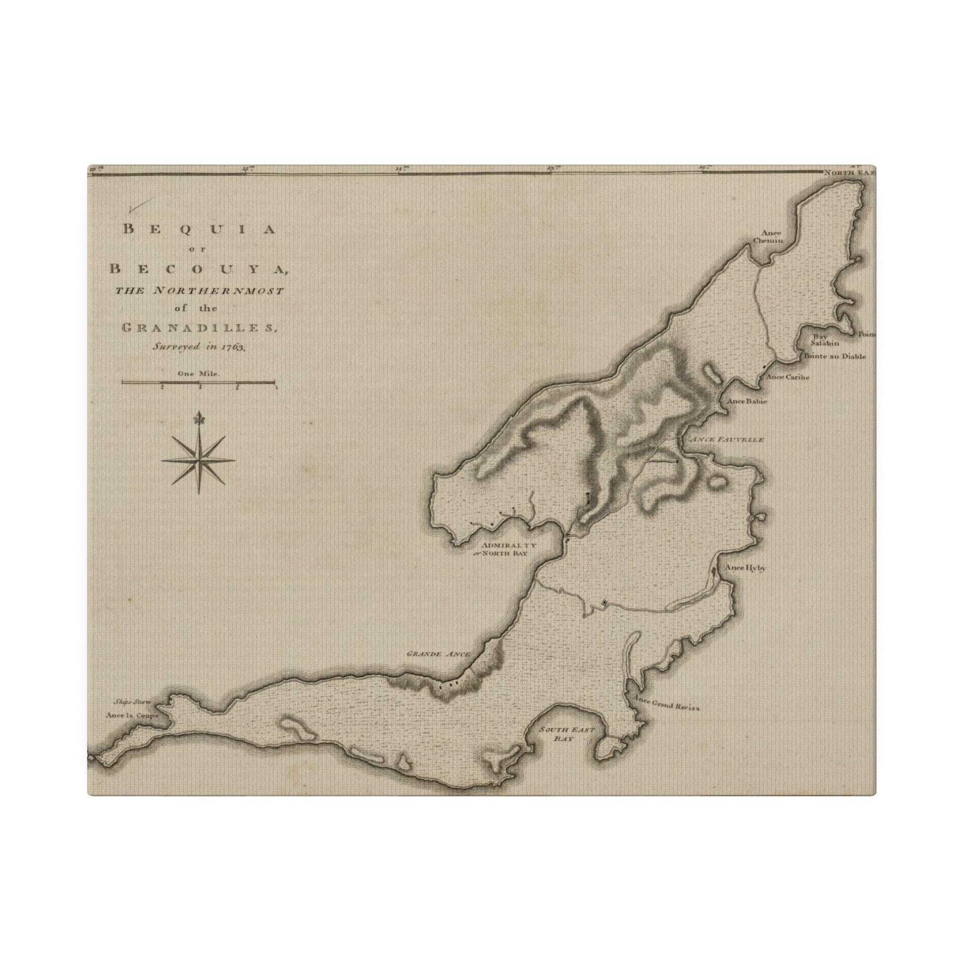 Close-up of the textured natural canvas fabric highlighting the finely woven fibers and subtle color variations.