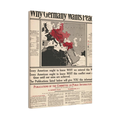 Why Germany Wants Peace 1917 - Pacific Sky Games