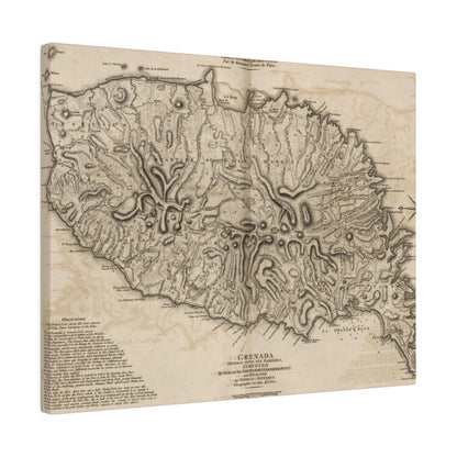 Close-up of the Grenada canvas showing textured surface details and subtle color variations in warm earth tones.