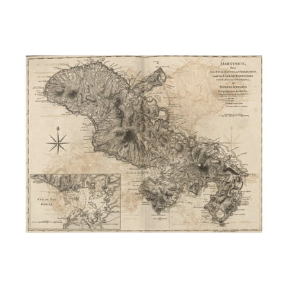 Martinico eco-friendly canvas wall art, 20x30 inches, matte finish, featuring wood frame and hanging hardware for indoor