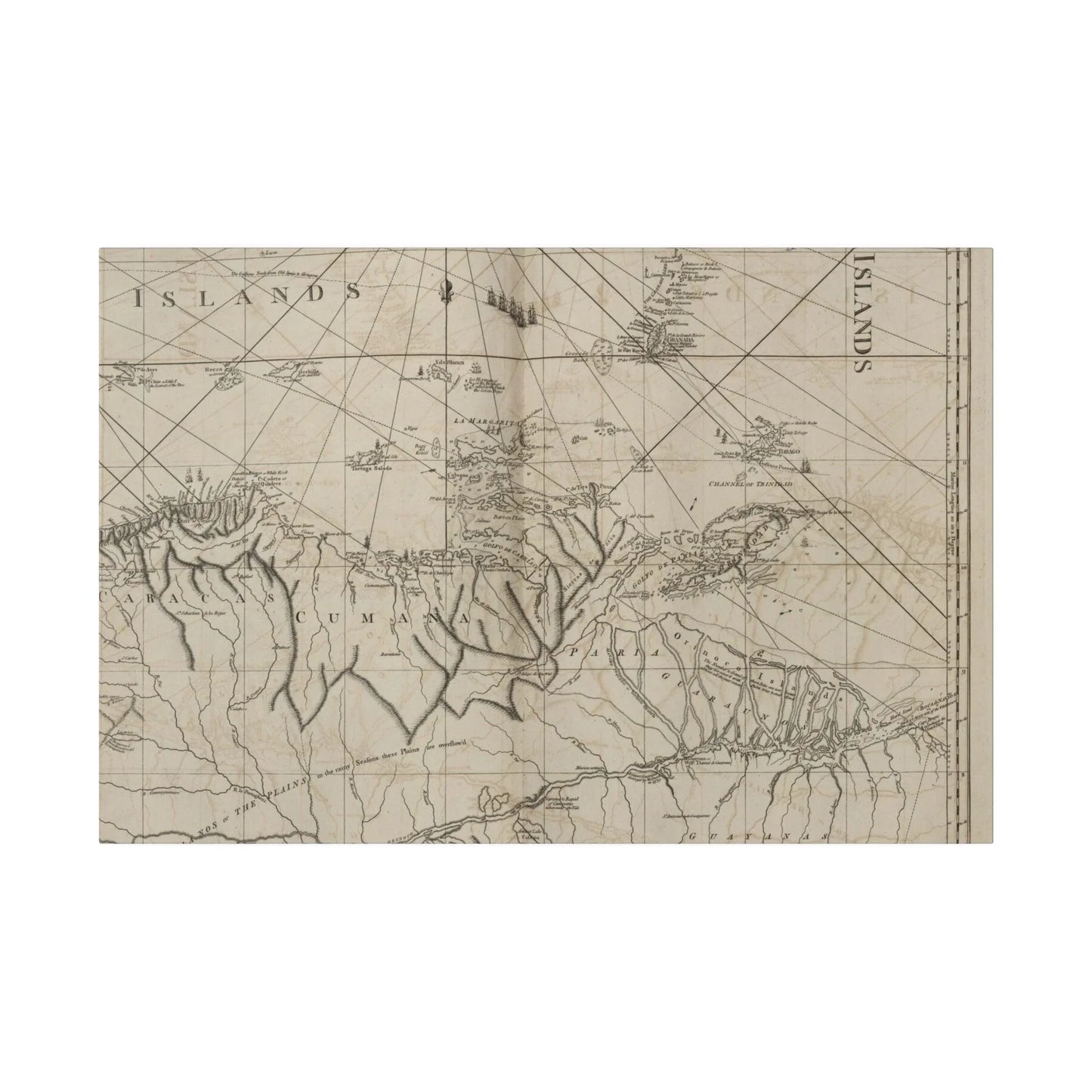 Close-up of vibrant coastal scene with detailed brushstrokes capturing Rio Orinoco mouths and shoreline textures