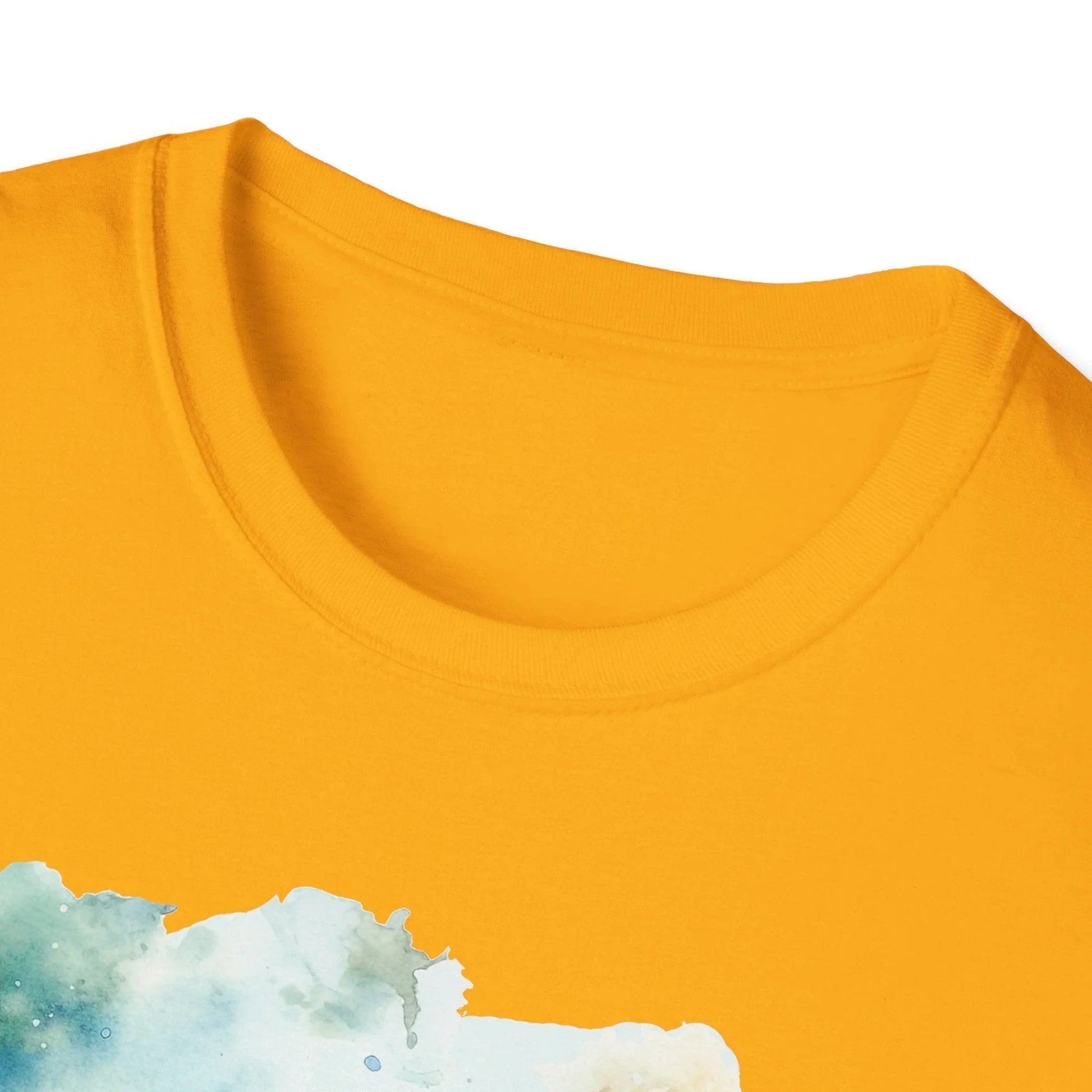 Close-up of the black unisex softstyle T-shirt's neckline and shoulder stitching detail from a slightly elevated angle.