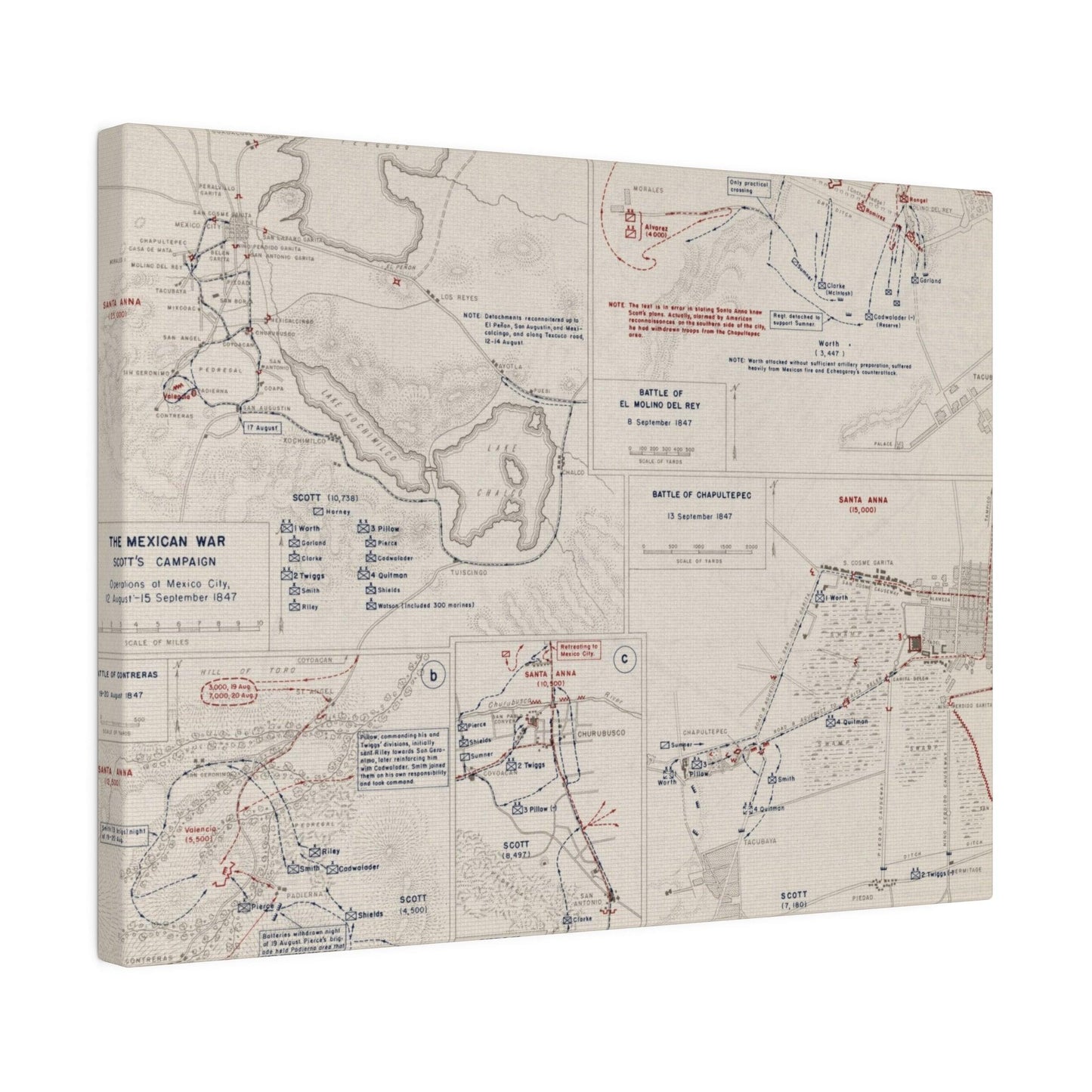 Close-up of detailed canvas texture showcasing vintage print crackling and muted color tones from the Mexican War campaign