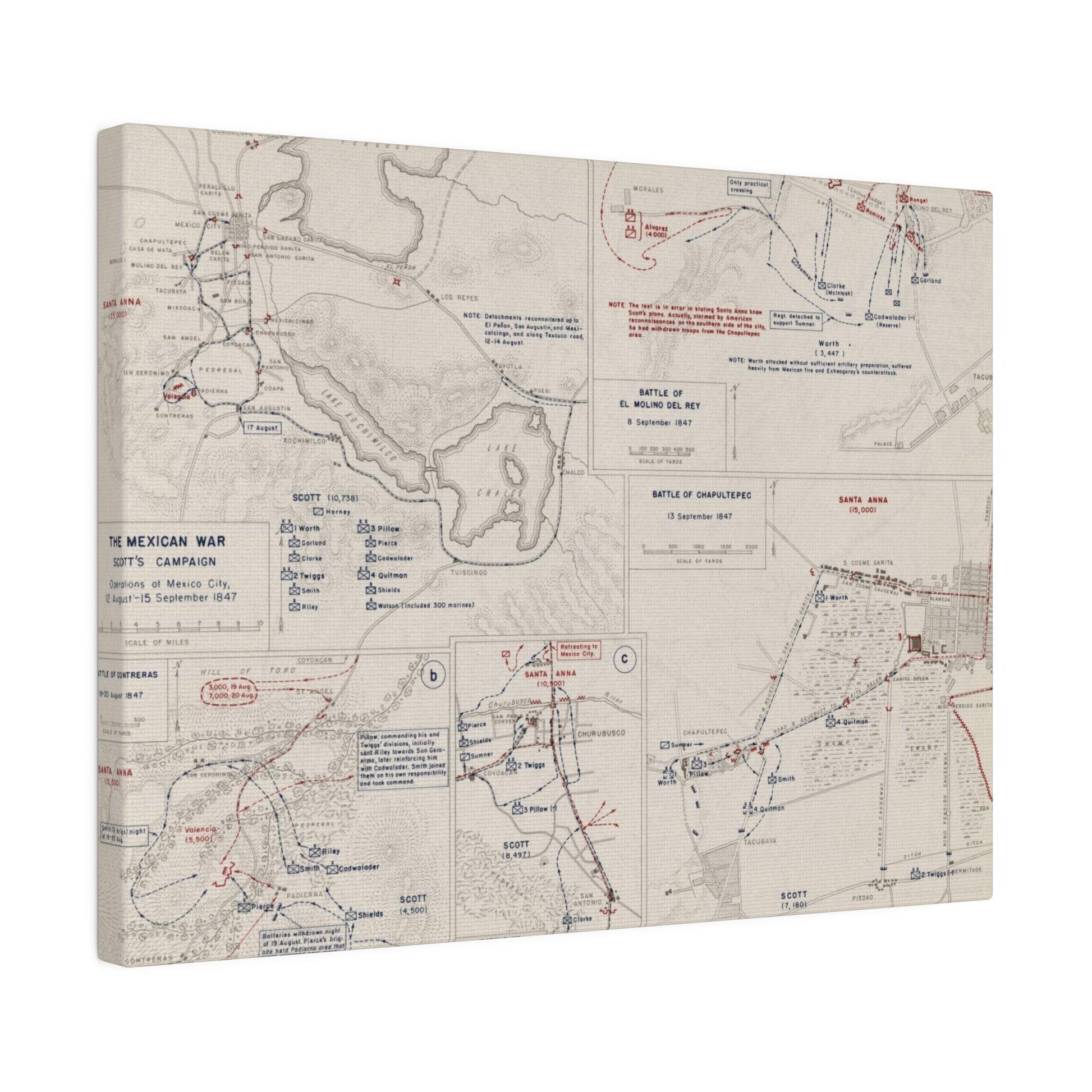 Close-up of detailed canvas texture showcasing vintage print crackling and muted color tones from the Mexican War campaign