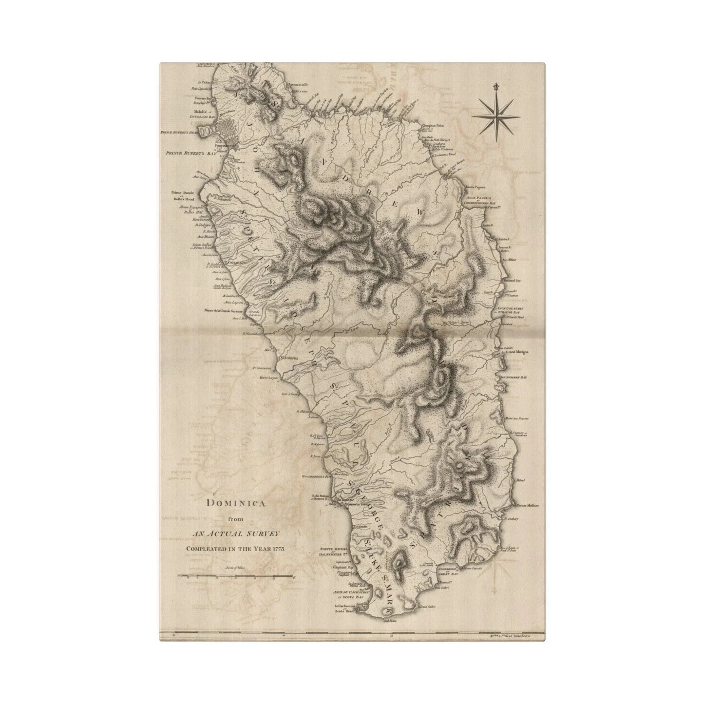 Close-up of the Dominica canvas’s textured surface revealing subtle brushstrokes and a matte finish in muted earth tones.