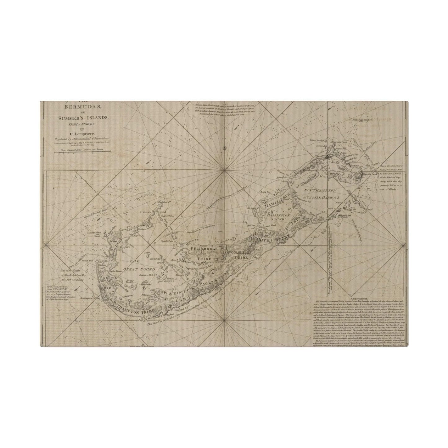 The Bermudas - Pacific Sky Games