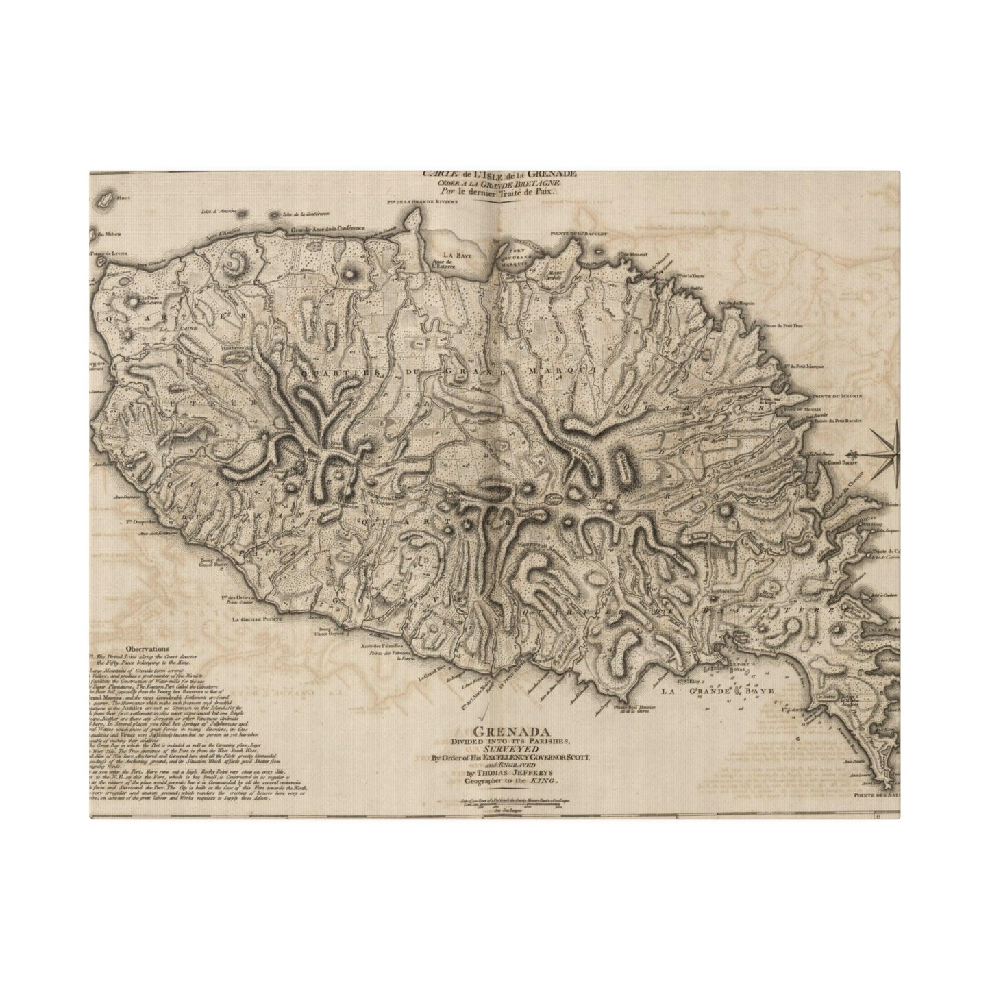 Close-up of the textured canvas surface highlighting subtle weave details and matte finish in warm earthy tones.