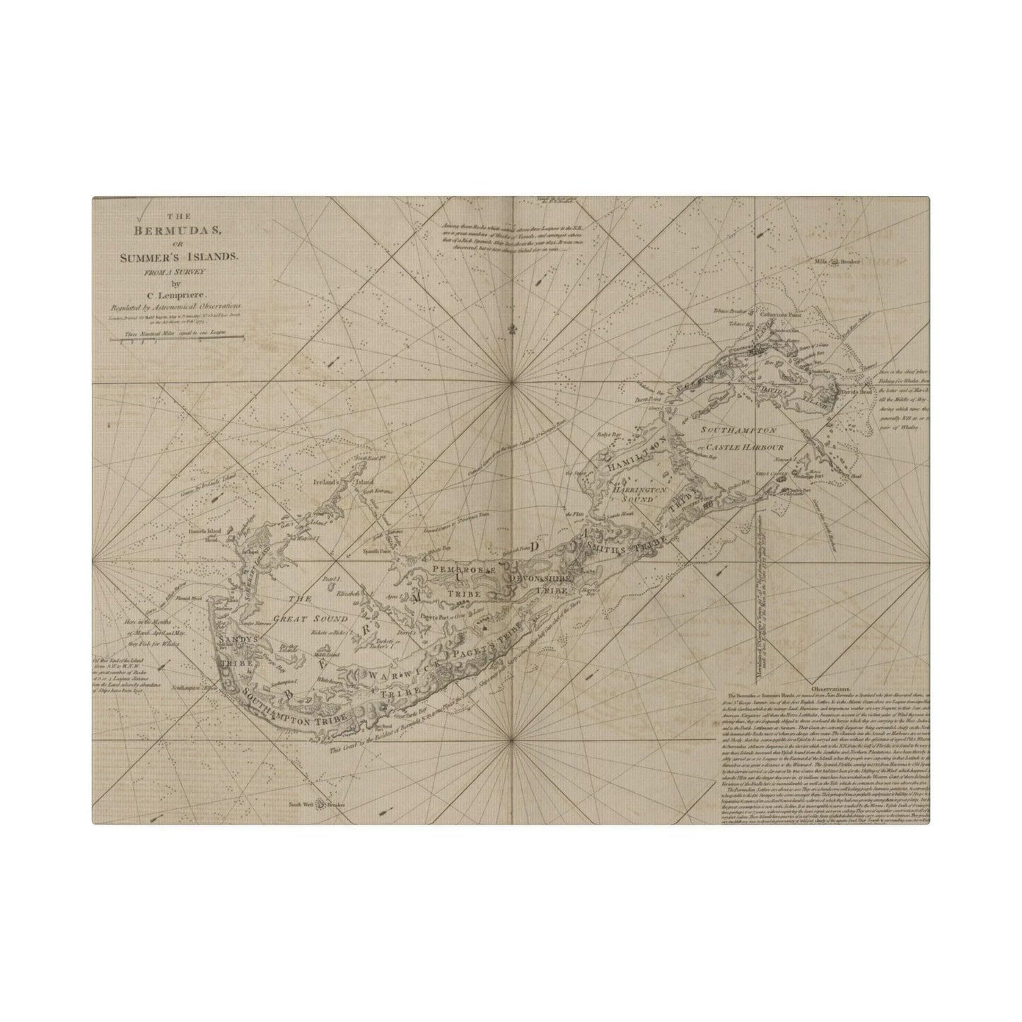 The Bermudas - Pacific Sky Games