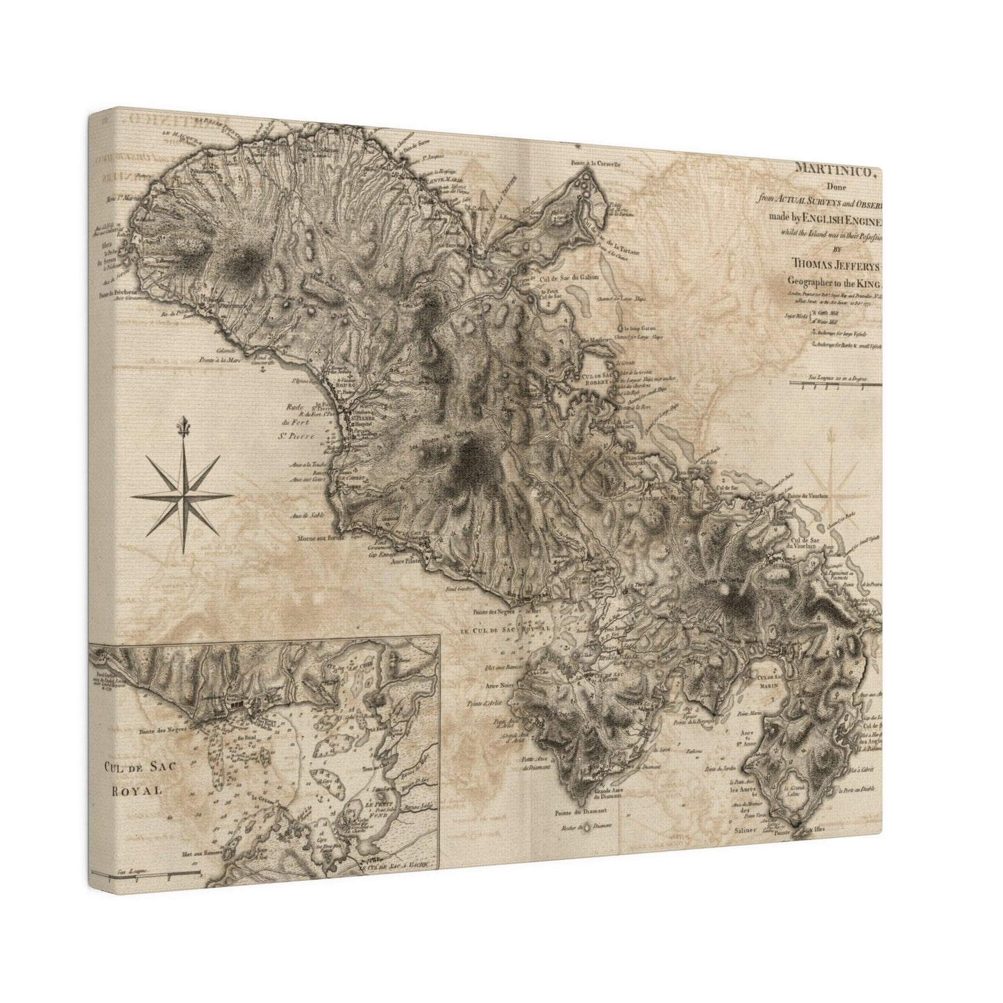 Close-up of the Martinico canvas texture showing detailed weave and subtle brushstroke accents in warm earth tones.