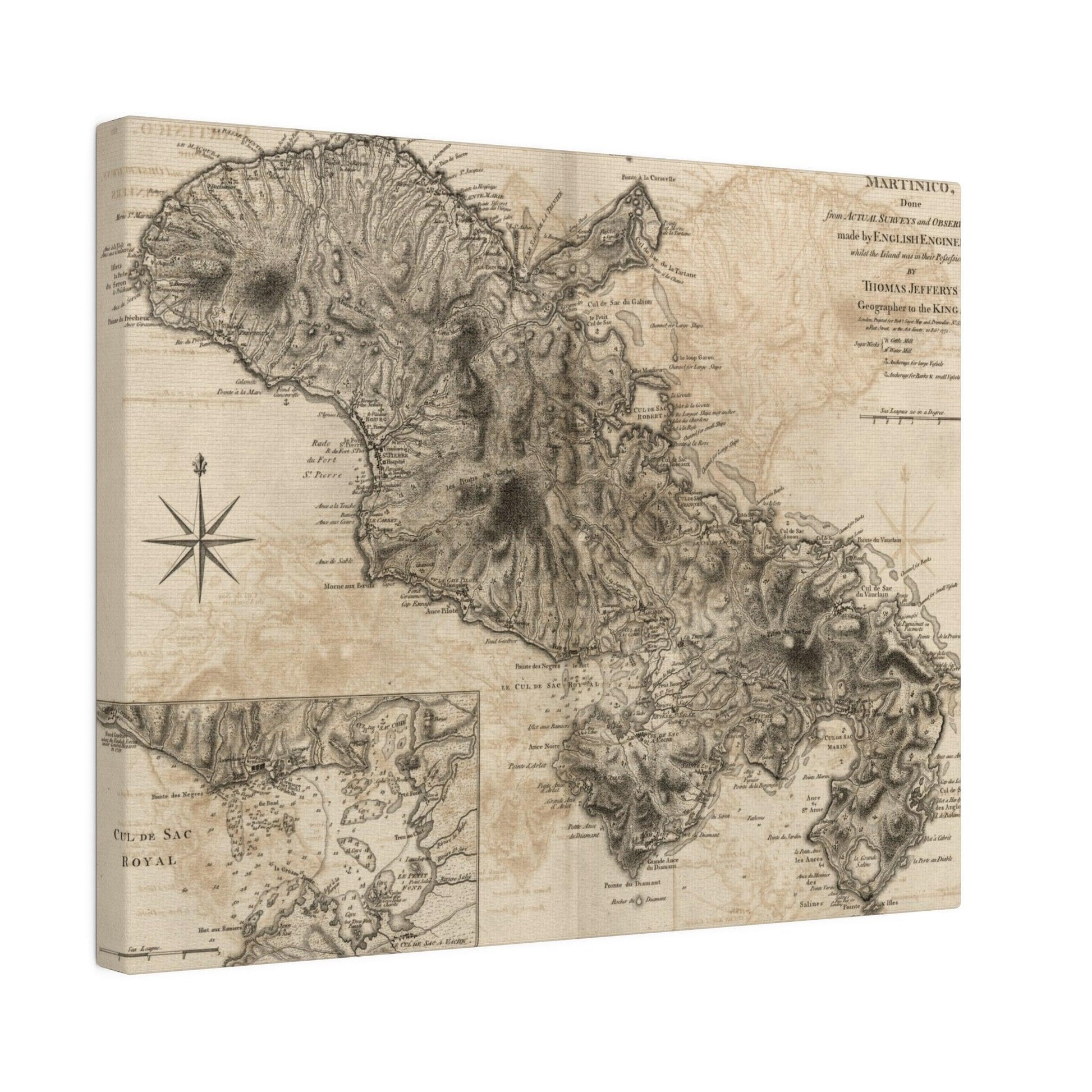 Close-up of the Martinico canvas texture showing detailed weave and subtle brushstroke accents in warm earth tones.