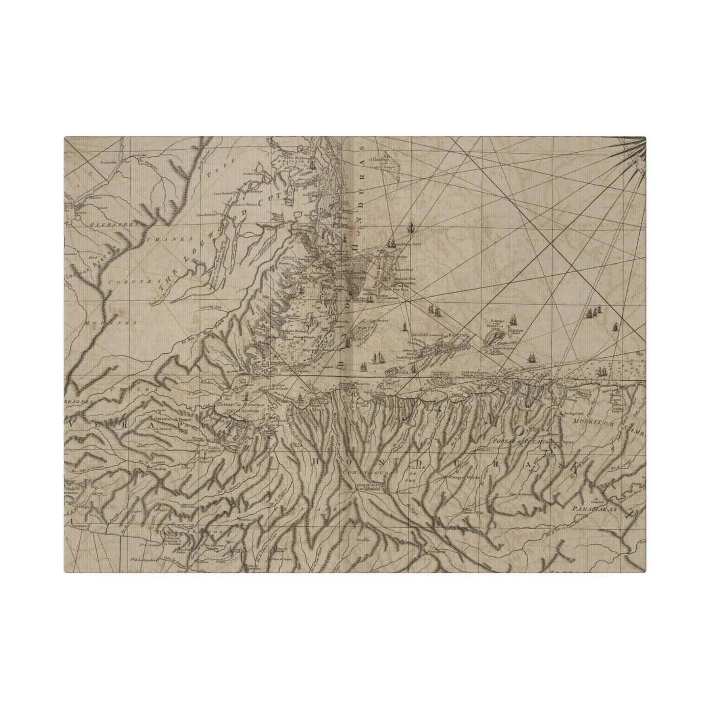 Close-up of vibrant, detailed map illustration highlighting coastal waterways and intricate shoreline textures in the Bay of