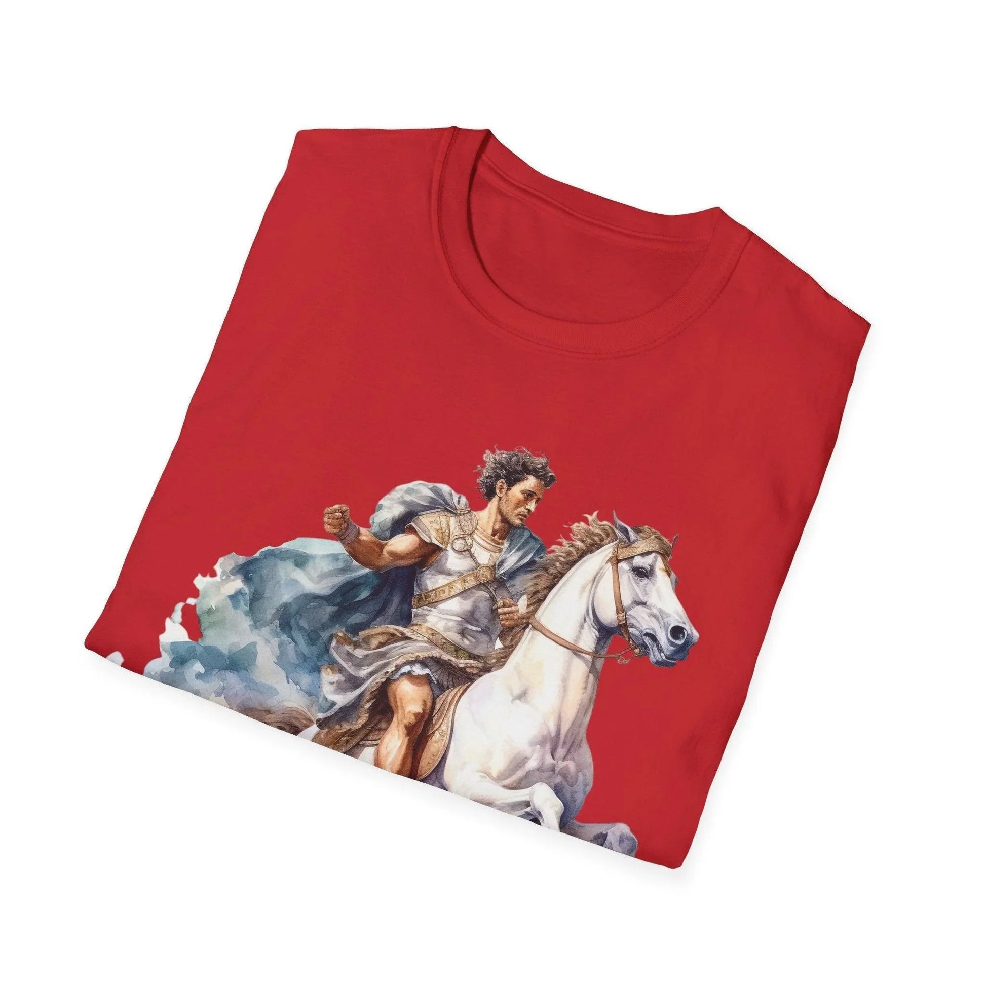 Close-up of the vintage-inspired ancient mounted general design printed on the front chest area of the unisex softstyle