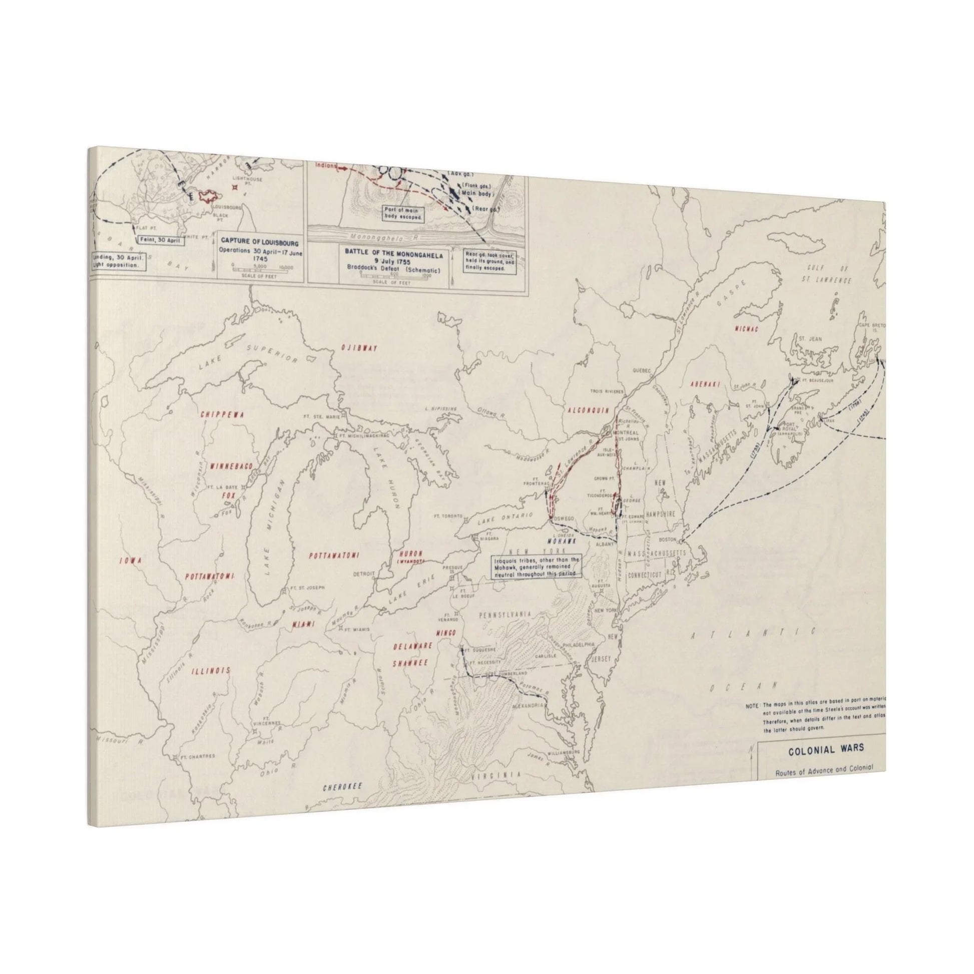 Close-up of the canvas material highlighting textured surface and minute brushstroke details in colonial-era color palette.