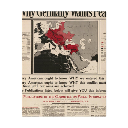 Why Germany Wants Peace 1917 - Pacific Sky Games