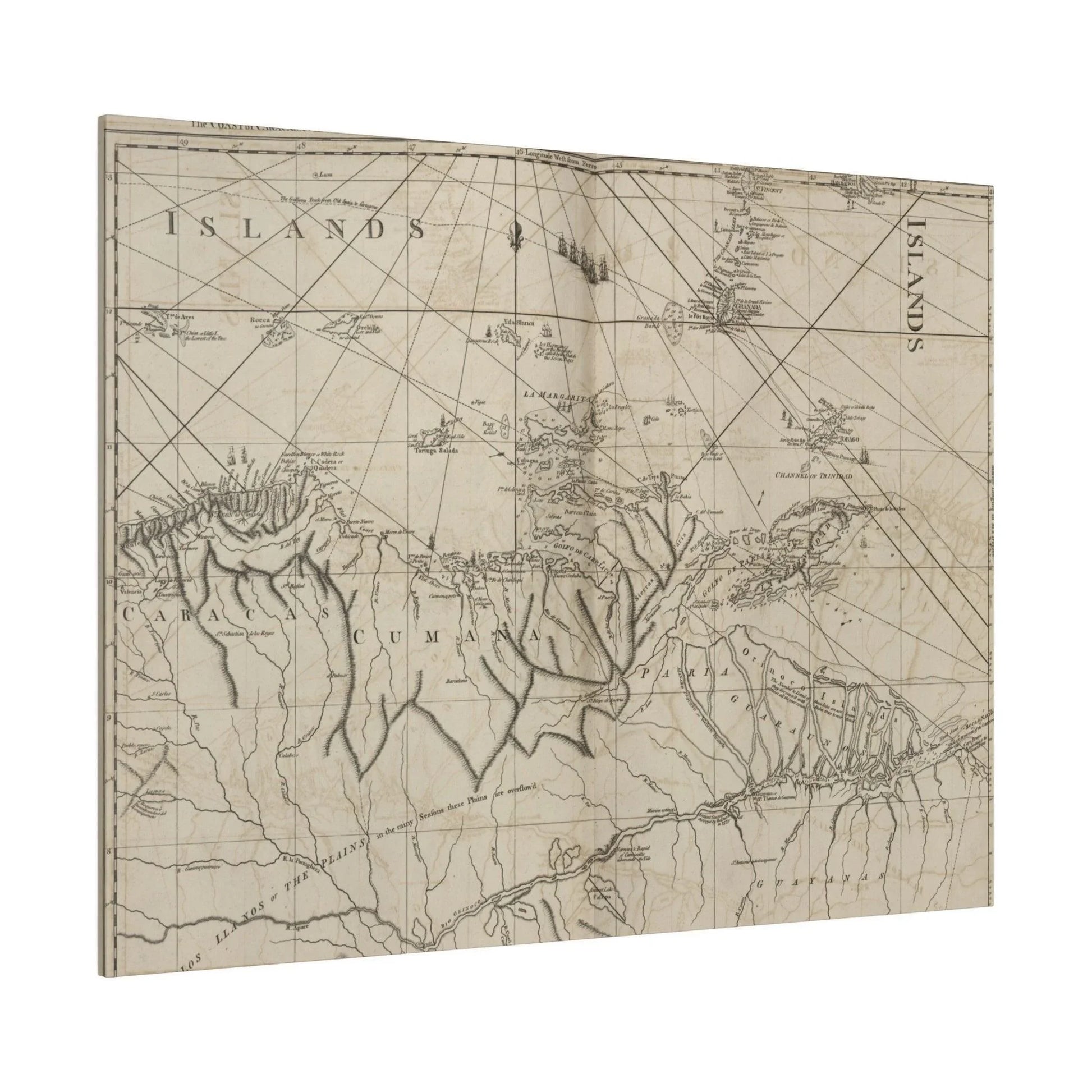 Detailed close-up of the textured canvas surface highlighting the vibrant colors and brushstroke details of the Caracas