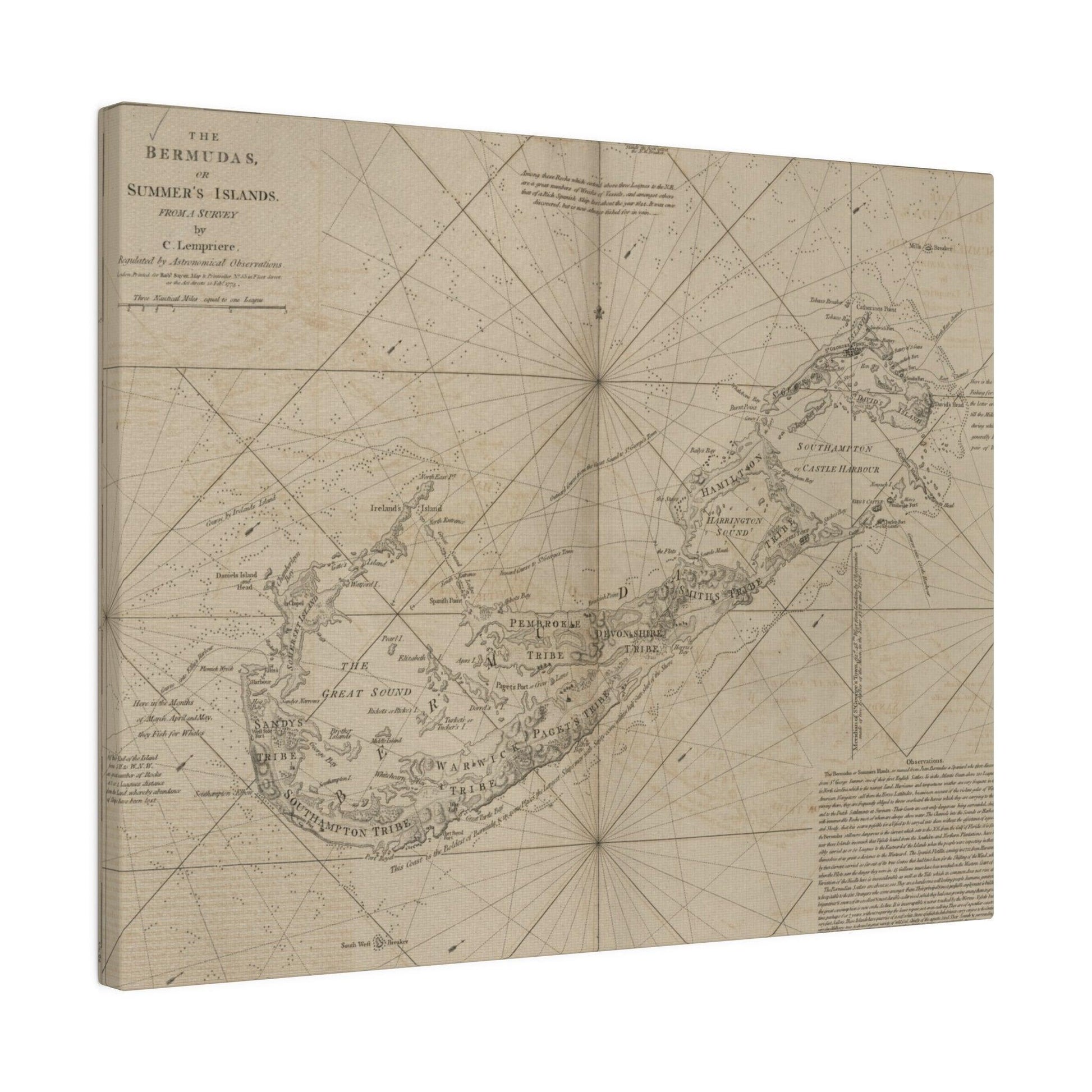 The Bermudas - Pacific Sky Games